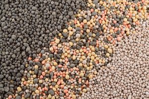 fósforo en fertilizantes